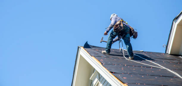 Best Roof Repair Services  in North Bend, OH